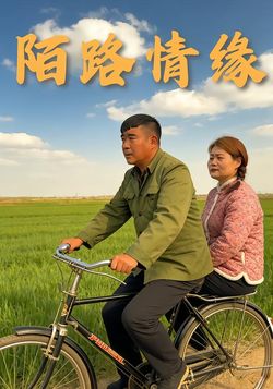 陌路情缘封面图