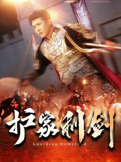 护家利剑封面图