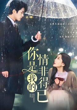 你是我的情非得已封面图
