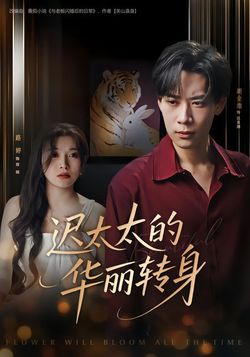 迟太太的华丽转身封面图