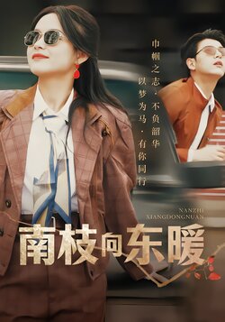 南枝向东暖封面图