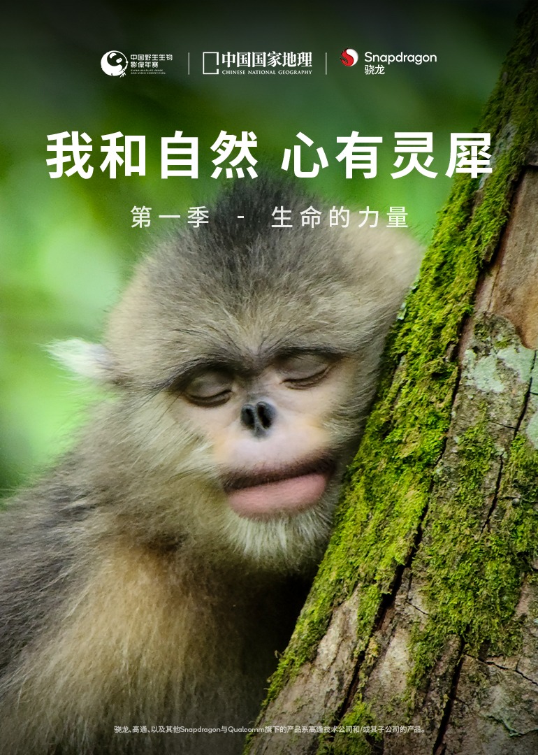 我和自然心有灵犀1：生命的力量封面图