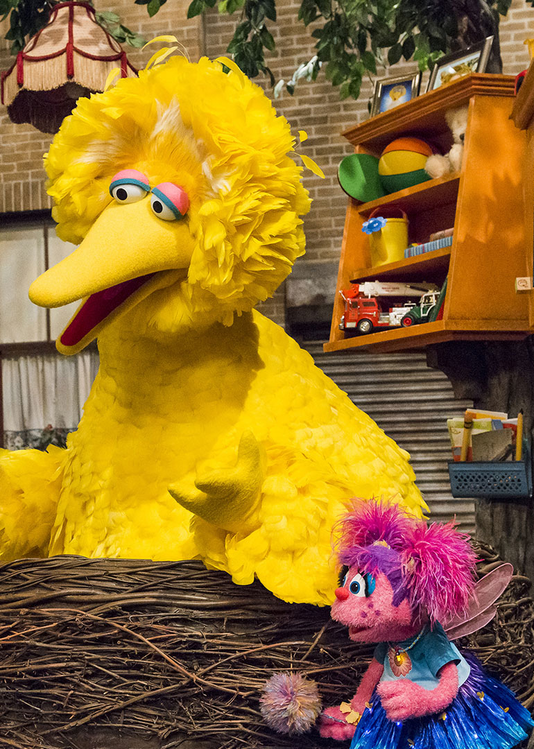 芝麻街30分钟国际版第49季封面图