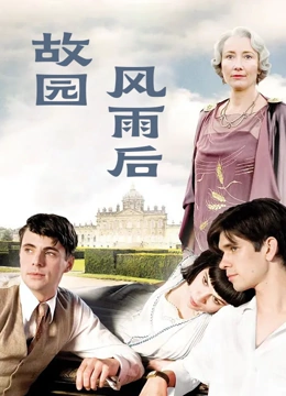 故园风雨后国语版封面图