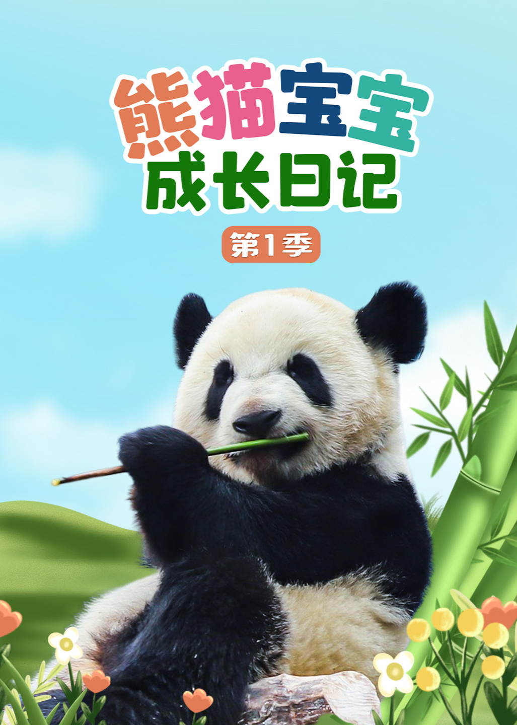 熊猫宝宝成长日记1封面图