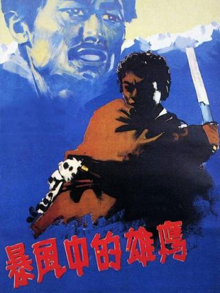 暴风雨中的雄鹰封面图