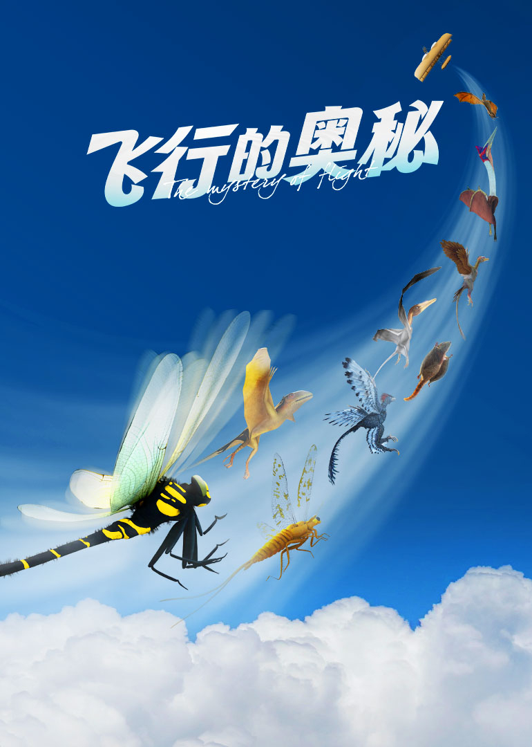 飞行的奥秘封面图