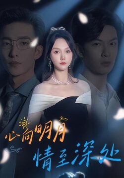 心向明月，情至深处