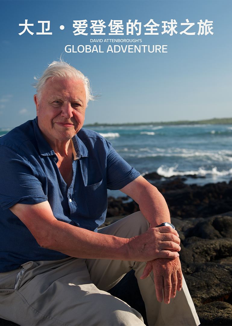 大卫爱登堡的全球之旅封面图