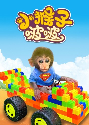 小猴子啵啵封面图