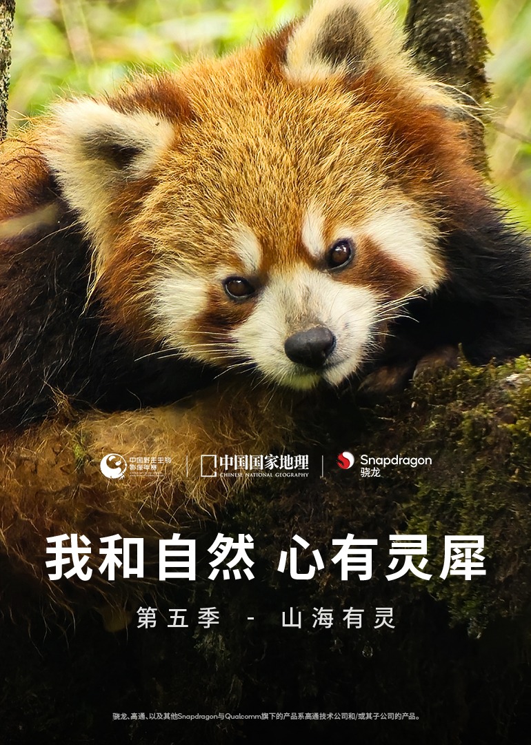 我和自然心有灵犀5：山海有灵封面图