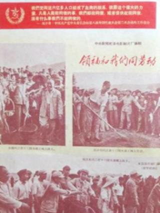 领袖和我们同劳动封面图