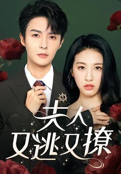 夫人又逃又撩封面图