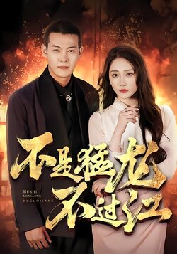 不是猛龙不过江封面图