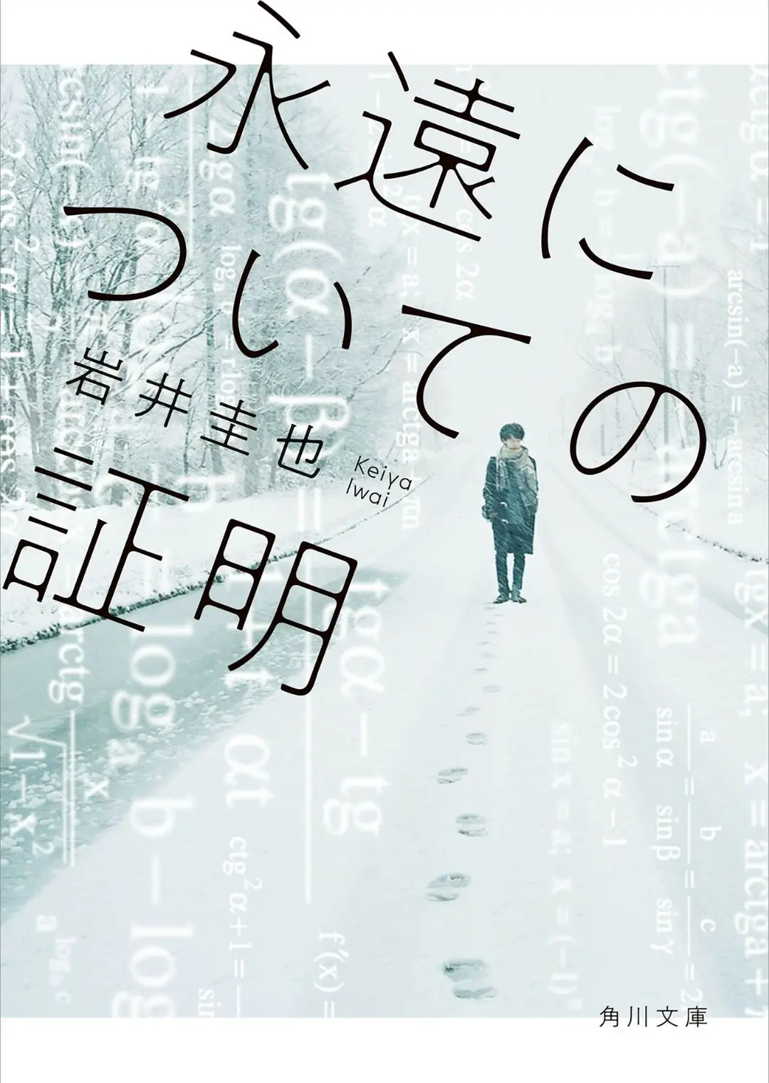 关于永恒的证明封面图