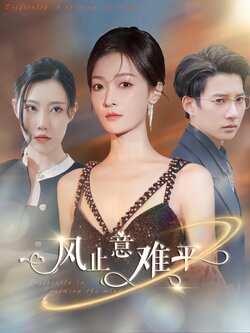 风止意难平封面图