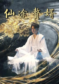 仙途赘婿封面图