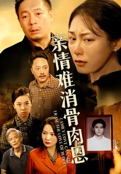 亲情难消骨肉恩封面图