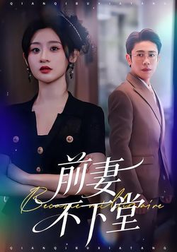 前妻不下堂封面图