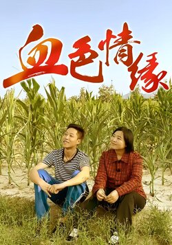 血色情缘封面图