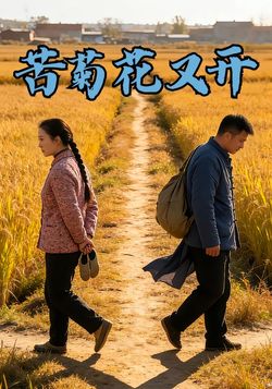 苦菊花又开封面图