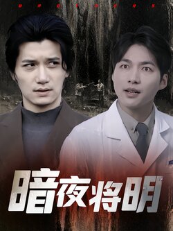 暗夜将明封面图
