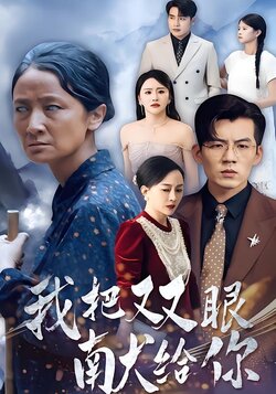 我把双眼献给你封面图