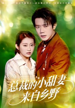 总裁的小甜妻来自乡野封面图