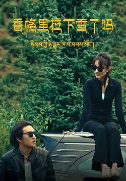 香格里拉下雪了吗封面图