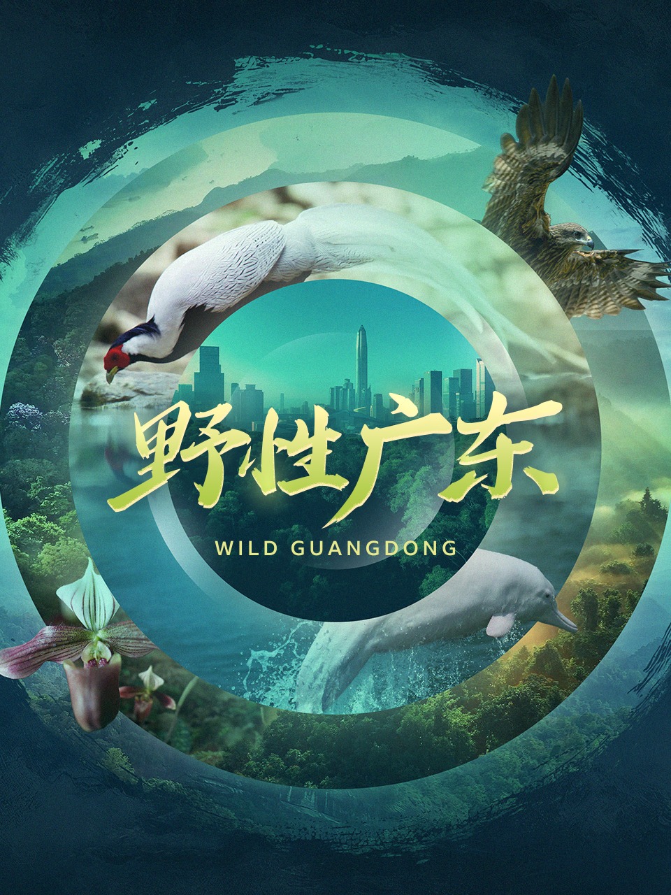 野性广东封面图