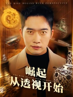 崛起从透视开始封面图