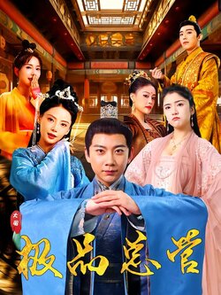 极品总管封面图