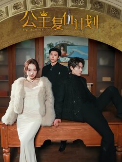 公主复仇计划