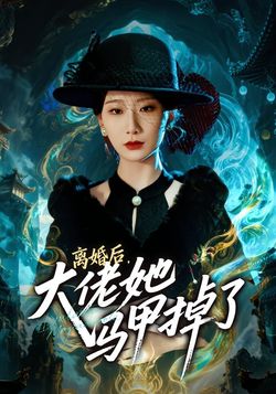 离婚后，大佬她马甲掉了封面图