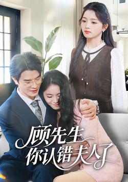 顾先生你认错夫人了封面图