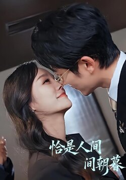 恰是人间朝暮封面图