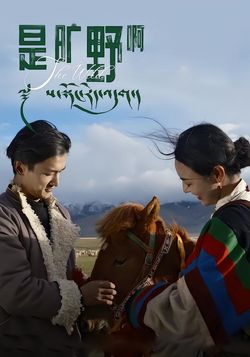 是旷野啊封面图