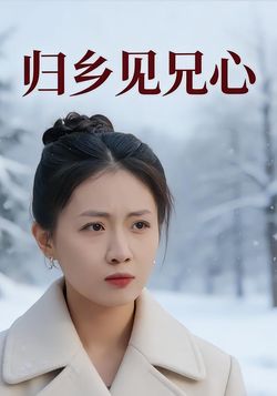 归乡见兄心封面图