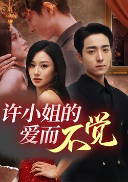 许小姐的爱而不觉封面图