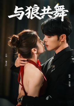 与狼共舞封面图