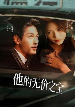 他的无价之宝封面图