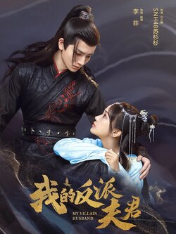我的反派夫君封面图
