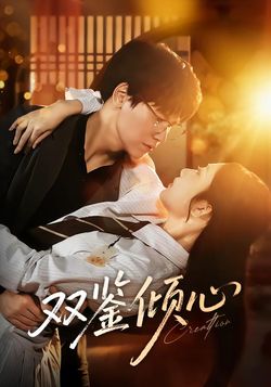 双鉴倾心封面图