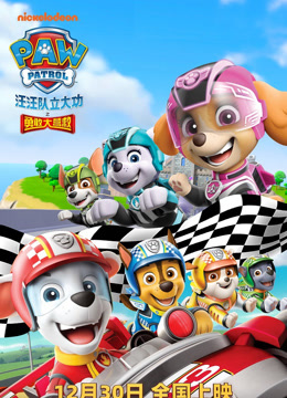 汪汪队立大功之勇敢大营救 普通话封面图