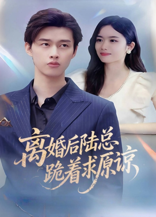 离婚后陆总跪着求原谅封面图