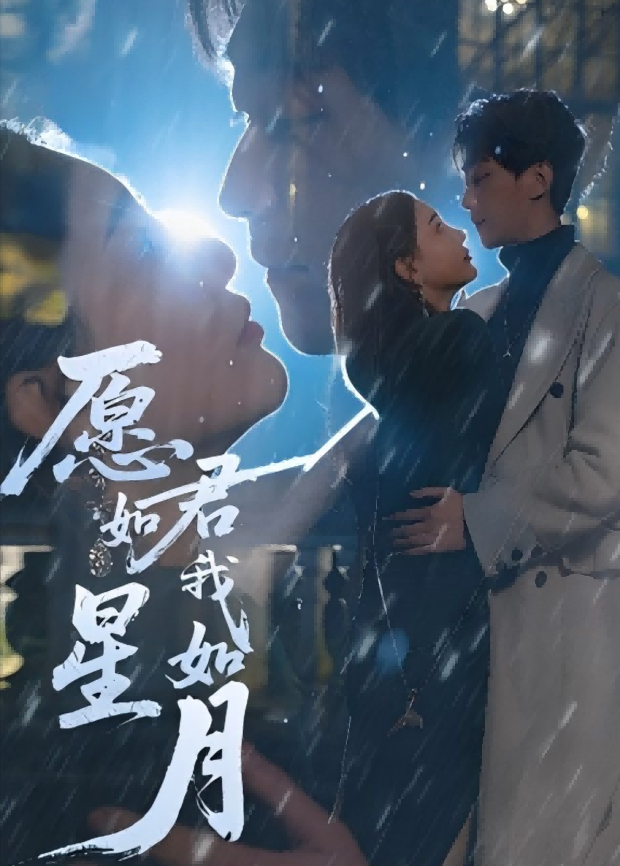 愿君如星我如月封面图