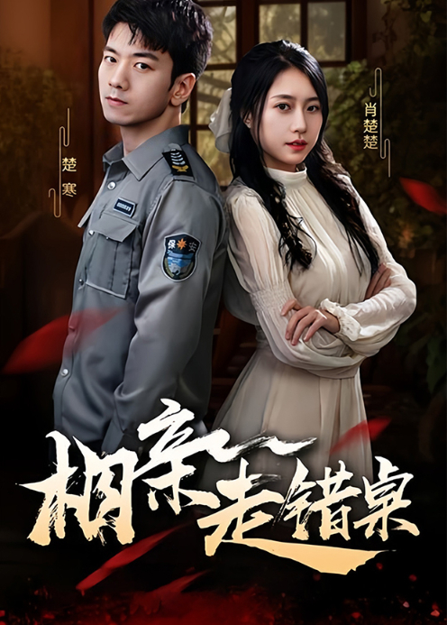 相亲走错桌封面图