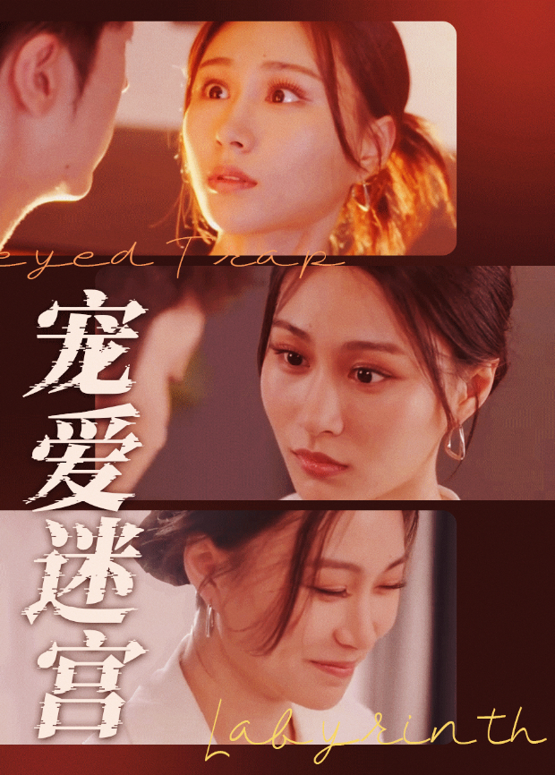 宠爱迷宫封面图