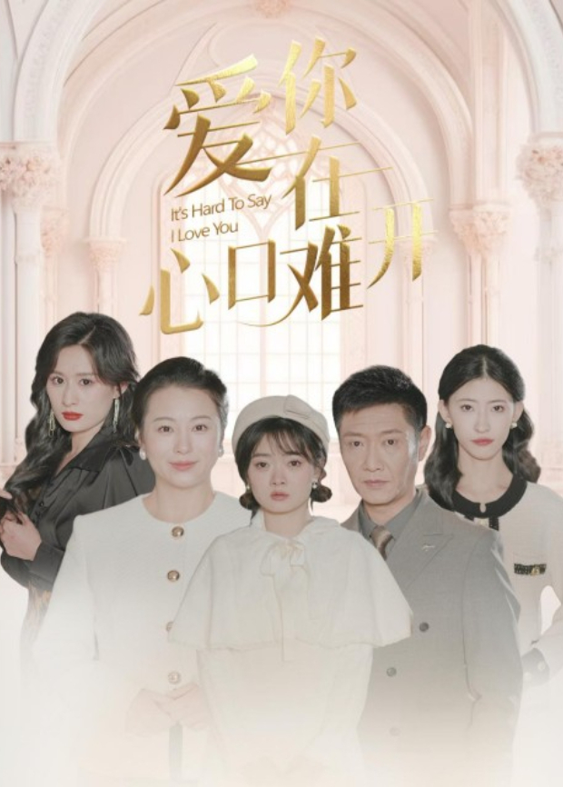 爱你在心口难开封面图