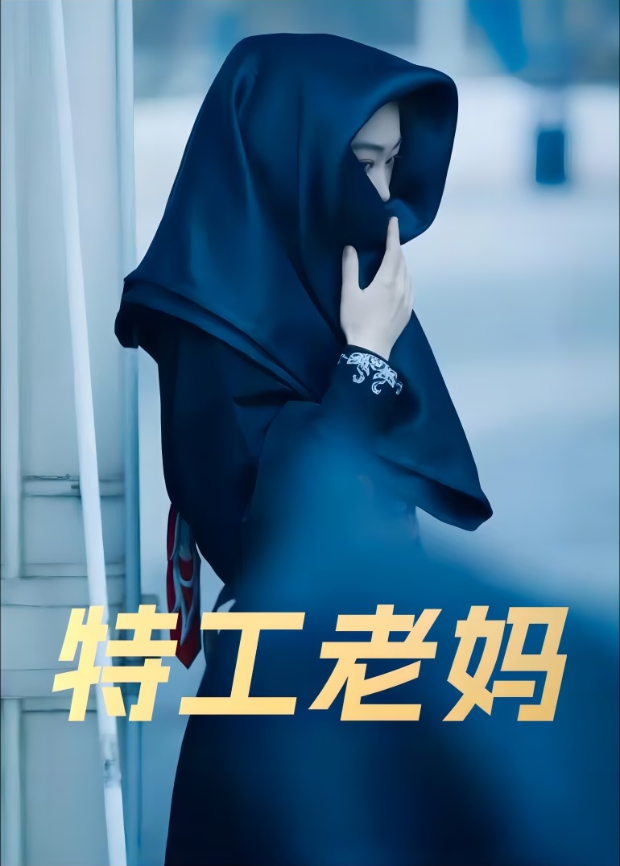 特工老妈封面图